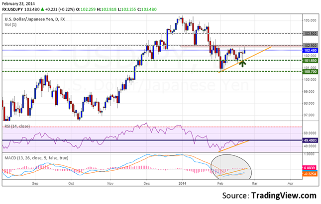 usdjpy-daily-forecast-february-24-28-23.02.2014 resize